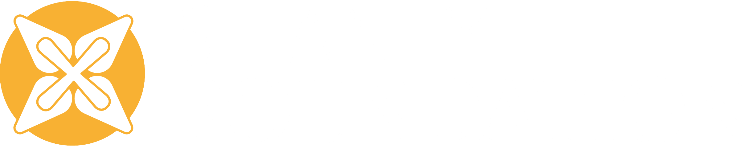 Shanly Foundation Logo